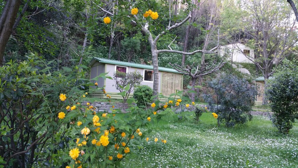Camping Les Sources Сен-Жан-дю-Гар Экстерьер фото